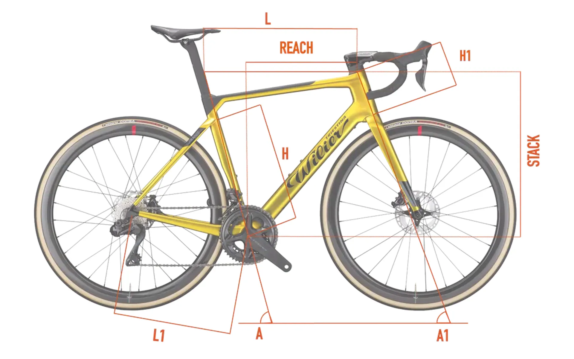 WIlier Filante Hybrid Geometry